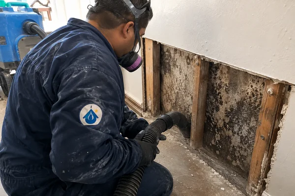 Mold Remediation in Tempe, Arizona